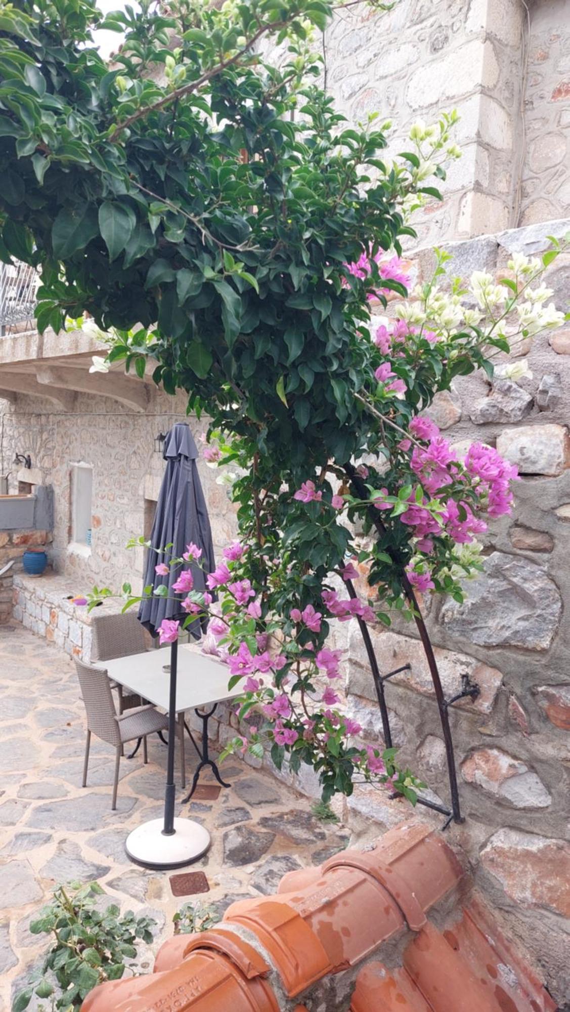 200 Year Old 'Kamara Suite' With Private Garden Pyrgos Dirou Exterior photo